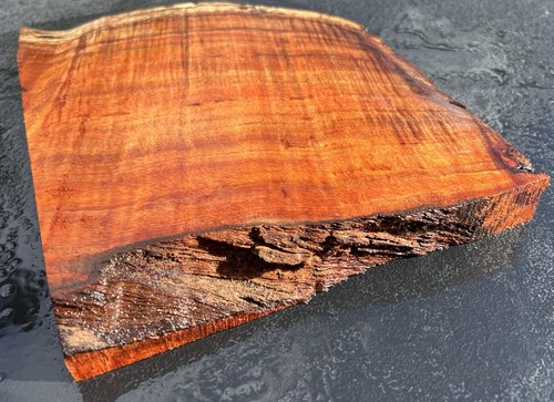 Hawaiian Curly Koa Board #12106 - Bild 10 von 12