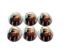 Set of 6 Native American Eagle Wood Cabinet Knobs Drawer Knobs and Pulls