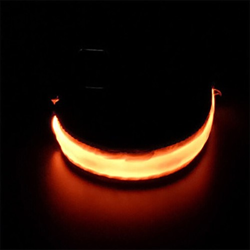 LED Bracelet Band Night Light Safety for Ankle Arm Running Walking Cycling - Picture 11 of 20
