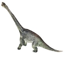 Brachiosaurus Dinosaur Figure Educational Toy Excellent 13 X 19 Inches AAA Brand