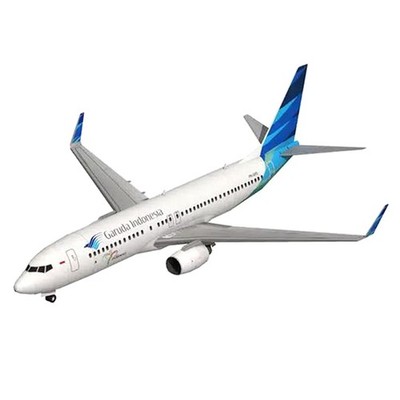 1:100 Boeing 737-800 Aircraft Airlines 3D Paper Model DIY Handmade T-lk