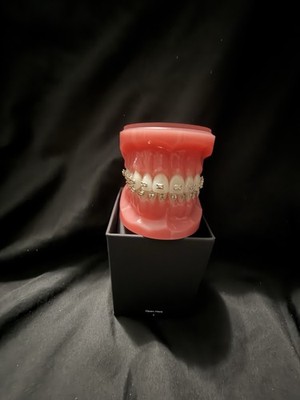 Complete Metal Bracket Model