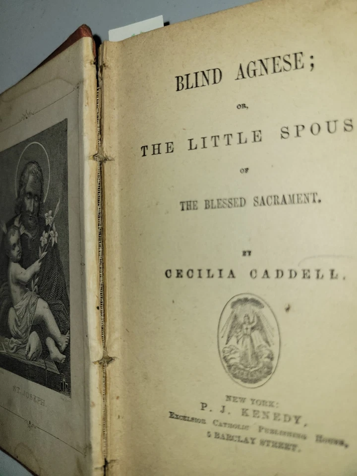 Catholic Presentation Library Antique Book 1855 Blind Agnese The Little Spouse - Image 4 of 4