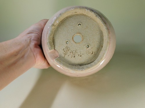 Bonsai pot Tokoname ware Ceramic number Kozo Tamaki Traditional craftsman - Picture 5 of 7