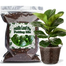 Organic Fiddle Leaf Fig Potting Mix 2qt, Indoor Plants Potting Mix for All Po...