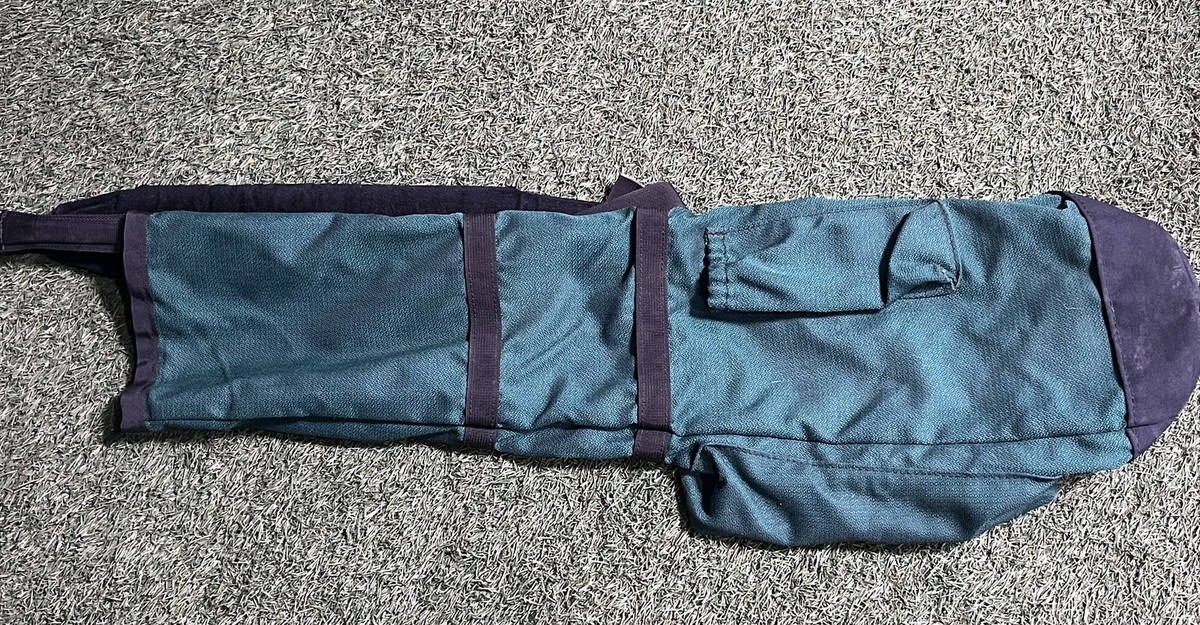 Ping Moonlite Carry Sunday Bag Divide Single Strap Golf Bag | eBay