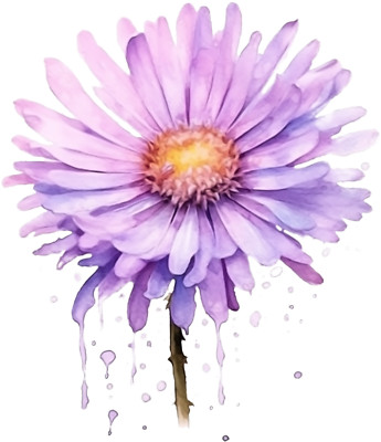 Car Sticker 18x18 cm | Aster Birth Flower | Weatherproof | High Quality Film