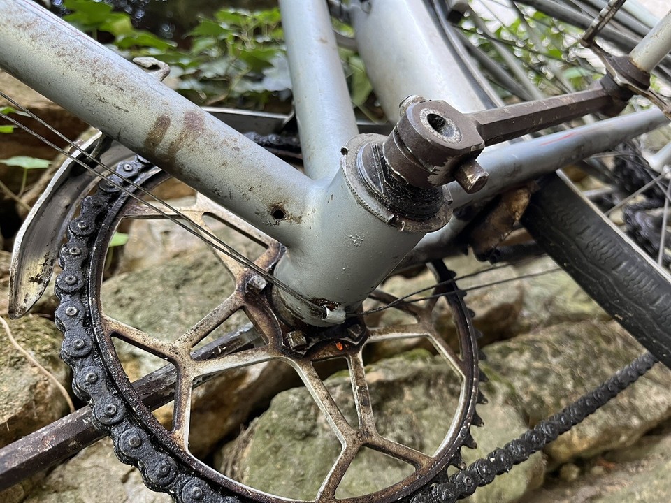 ALEX SINGER RANDONNEUSE 650b Cyclo Camping EUR 4.500,00 - FR
