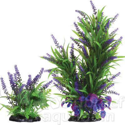 Purple Passion Weighted Base Plastic Variety Cluster Plant 6