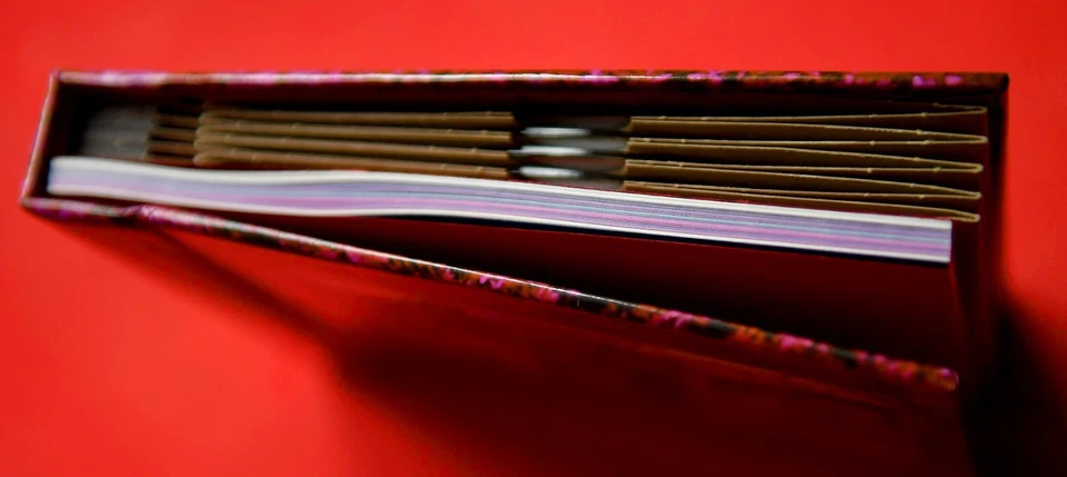 Captain Beefheart & His Magic Band – Grow Fins: Rarities 1965-1982 BOX SET 5x CD - Bild 4 von 4