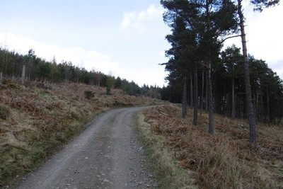 Foto 6x4 Straße durch Sluie Woods Brücke von Canny c2017