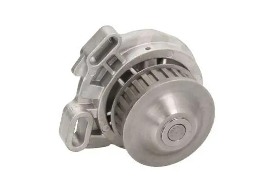 Thermotec Pompa Del Refrigerante D1w005tt - Immagine 2