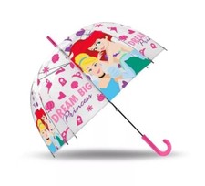 Disney Princess Dream Big Princess Transparen...