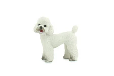 Toy Poodle Dog, Rubber Hand Painted, Realistic Model, 1 3/4 Inch CH735 BB184