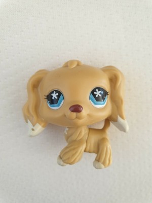 pet shop cocker spaniel