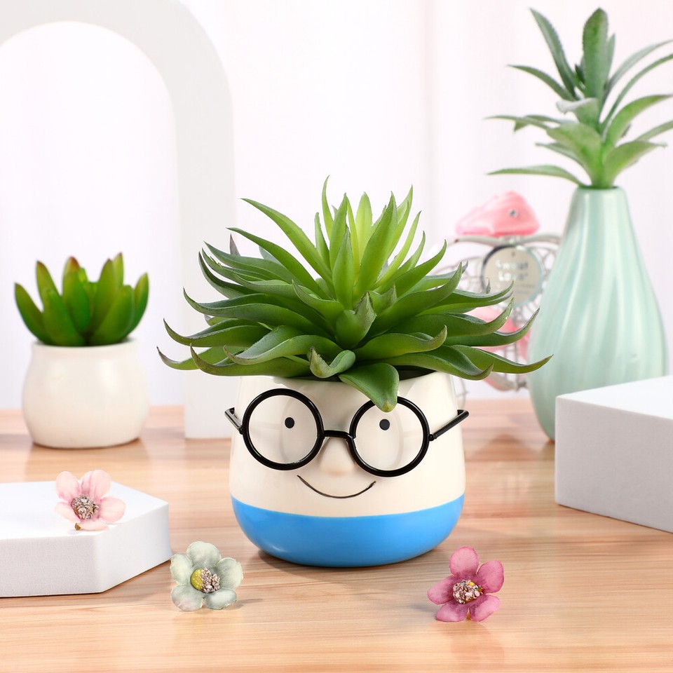 Flowerpot Plant Decorative Face Planters for Indoor Plants Pots House