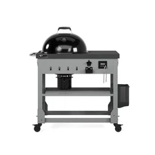 Anaheim 22 in. Charcoal Kettle in Gray with Cart