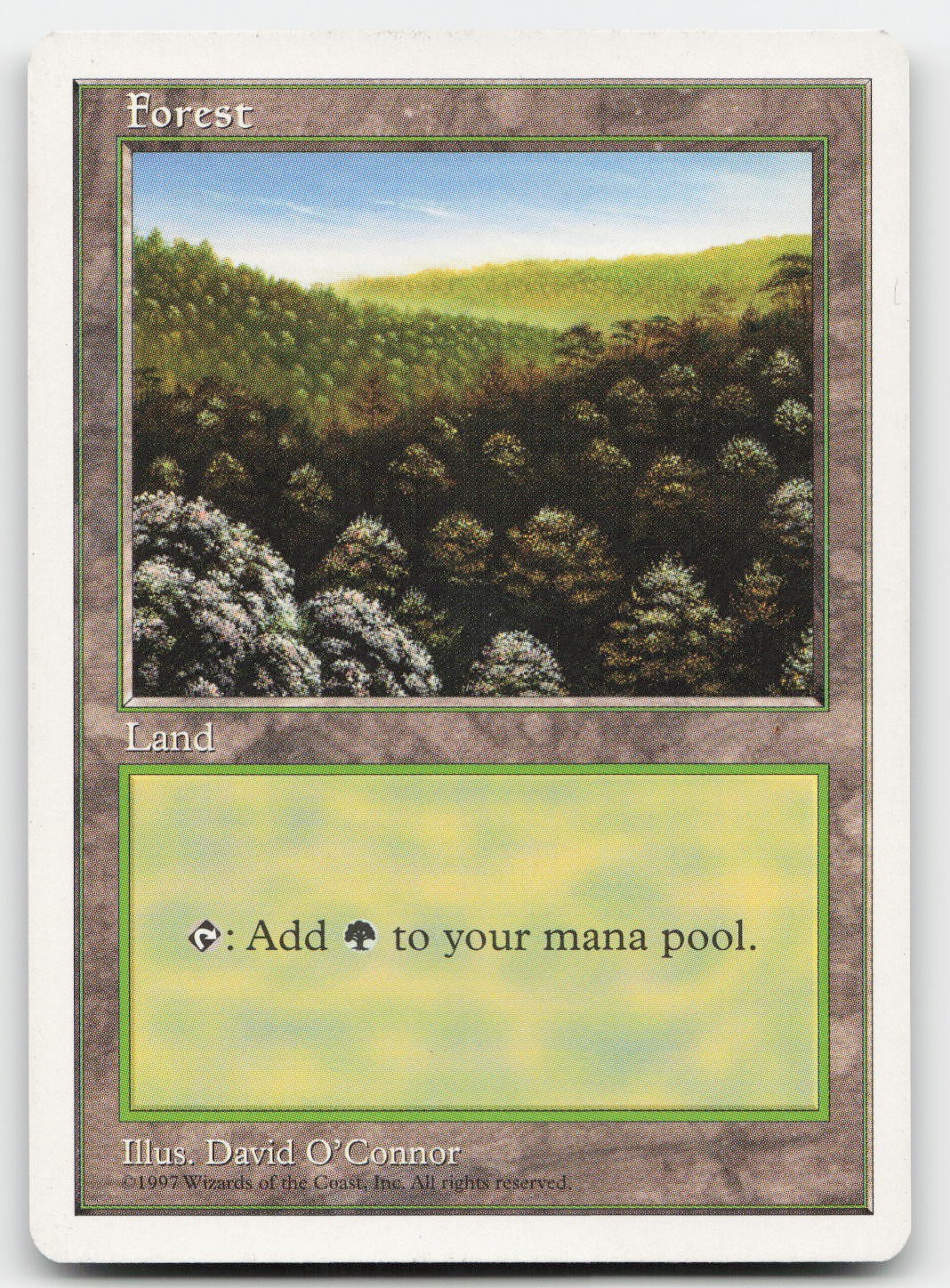 Forest (446) #446 (LP) Fifth Edition 5ED Magic MTG