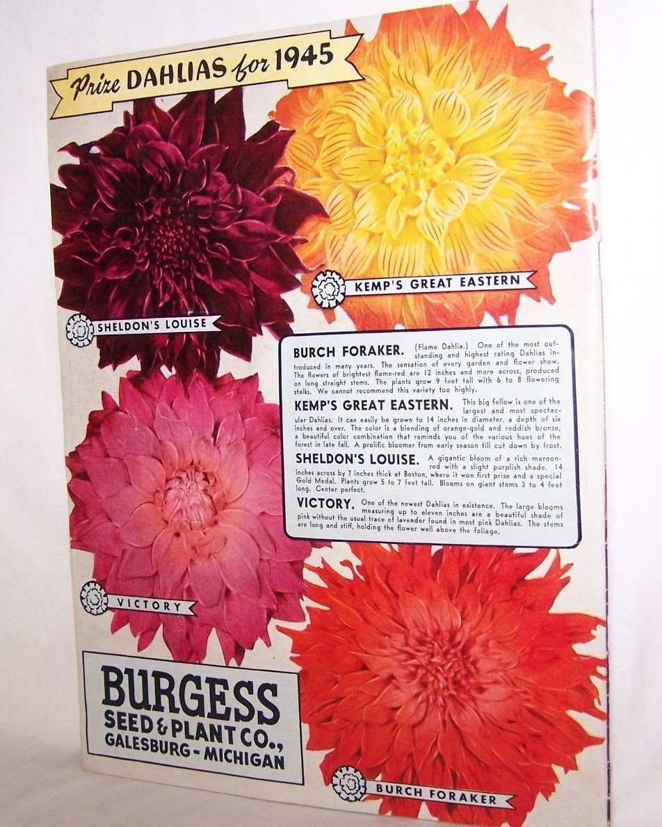 Burgess Seed & Plant CO. Galesburg, Michigan 1945 Catalog & Mailer