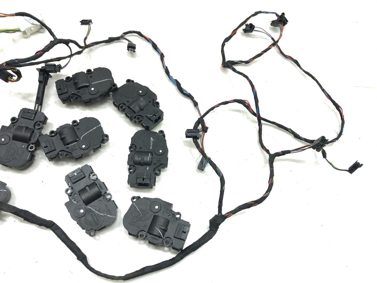 ③ コムギ s-l1200.jpg