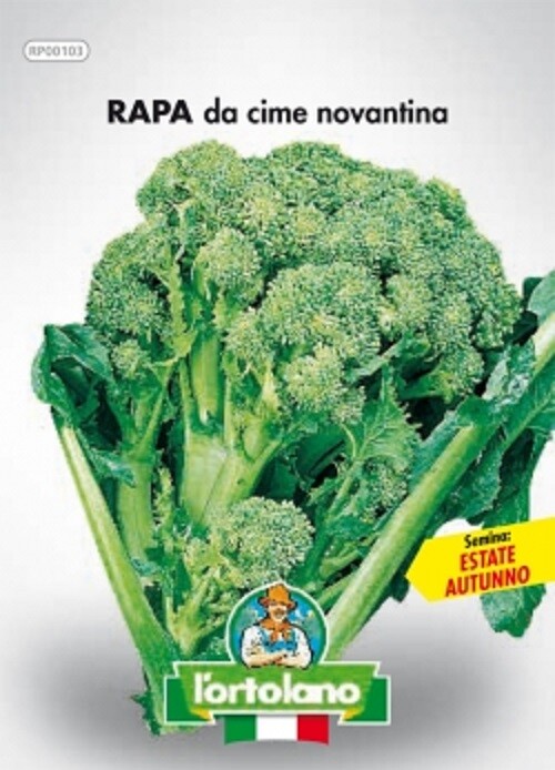 Foto 4 di 5
