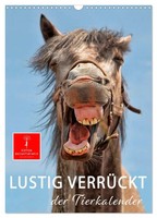 Thomas Day Seymour (U. A.) | Selected Odes Of Pindar | Taschenbuch | Englisch
