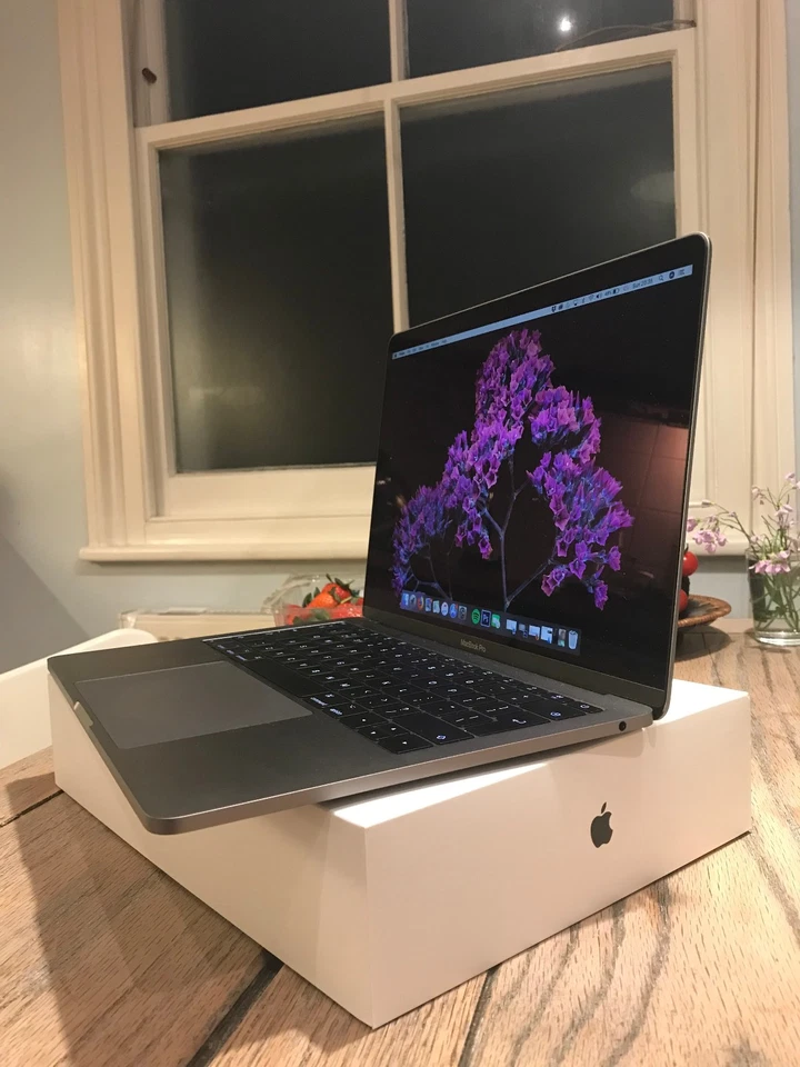 Apple MacBook Pro 13 Zoll (256GB SSD) Laptop - Grau 2017, photo 3 of 5