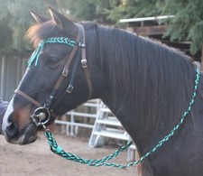 Wunderschöne Showtrense TRENSE Trensenzaum + Zügel Westerntrense Full Cob UNIKAT