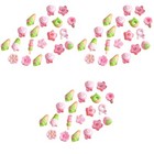 Bild 5 von 12
