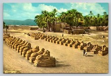 Vintage Karnak Egypt Sphinx Avenue Amon Ra Temple Postcard Lehnert & Landrock