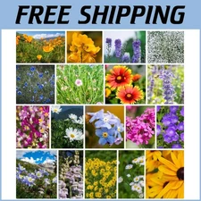 Rocky Mountain Wildflower Seeds Mix - 22 Non-GMO Varieties for Vibrant Gardens