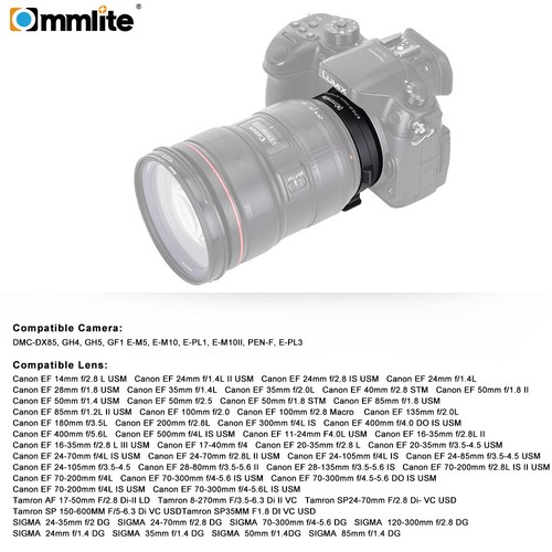 Commlite Reduce Auto Focus adapter for Canon EOS EF to micro 4/3 MFT camera - Picture 6 of 12