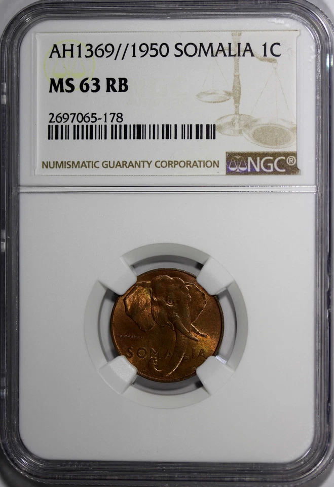 Somalia Copper AH1369   1950 1 Centesimo NGC MS63 RB African Elephant KM# 1 (8) - Image 2 of 4