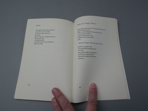 1970 REVOLUTIONARY PETUNIAS POETRY ALICE WALKER SIGNED 1ST EDITION BOOK BK744 - Picture 8 of 8