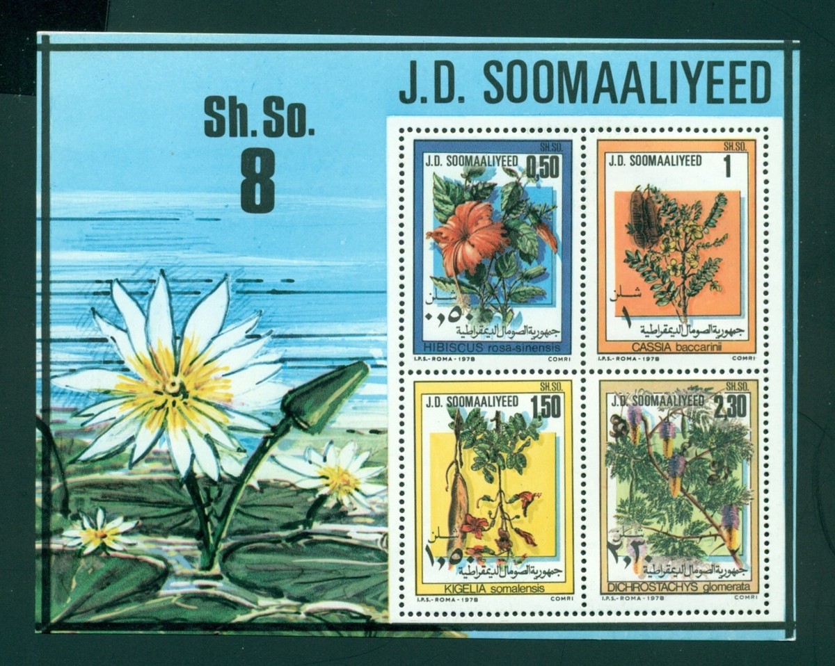 その他 somali Somalia Scott #466a MNH S/S of 4 Plants Flowers FLORA CV$12+ | eBay