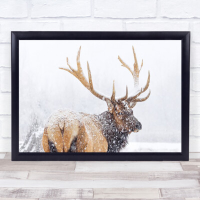 Winter Wildtiere Wildhirsch Elchgeweih Geweih Schnee Schnee Schneefall Kunstdruck