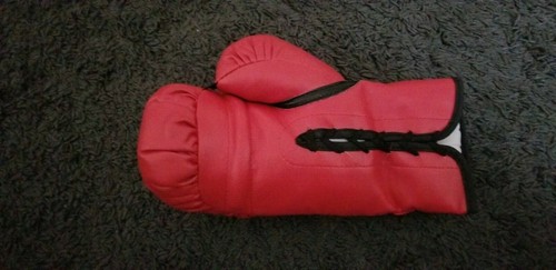 BOXING GREATS AUTOGRAPHED BOXING GLOVE LEONARD HEARNS DURAN RH PSA/DNA 7A73931 - Bild 2 von 3