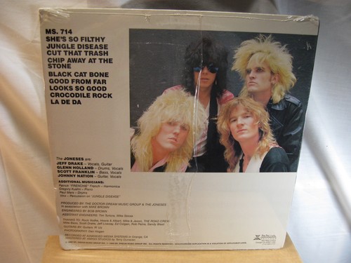 SS-The Joneses-Keeping Up With The Joneses-DR.Dream Records 1986-DDLP 8602 - Picture 7 of 11