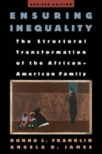 Ensuring Inequality: The Structural Transformation of the African American: Used
