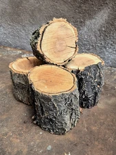 4 APRICOT DELUXE WOOD LOGS 3"~4"D 4~5"H CHUNKS Smoking BBQ Grilling Fire Crafts