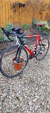 Orbea Asphalt 51cm Road Bike