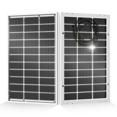 ECO-WORTHY 200 Watt Bifacial Solar Panel 2Pcs 100 Watt Monocrystalline Solar Pan