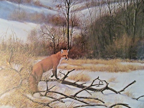 Derk Hansen Silent Hunt Signed and Numbered Wildlife Print Ready to Frame - Picture 2 of 5