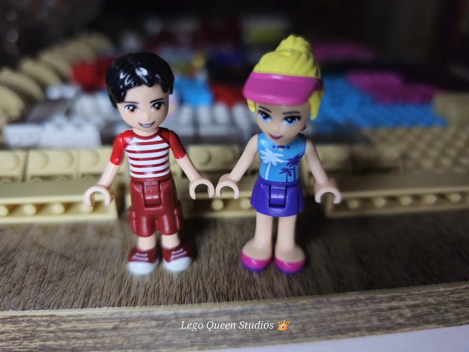 Lego 41129 Friends Parque de Atracciones Hot Dog Van  Foto 2 de 4