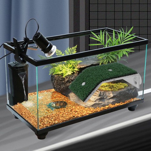 Accessoires lézard tortue habitat tortue points de vente transat plate-forme flottante