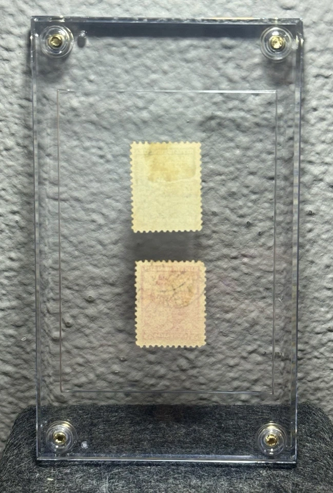 Argentina 10¢ & 5¢ Liberty Issue – Full & Half Sunburst Watermarks, Mint OG VF - Image 2 of 4