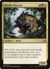 Woolly Thoctar (203)