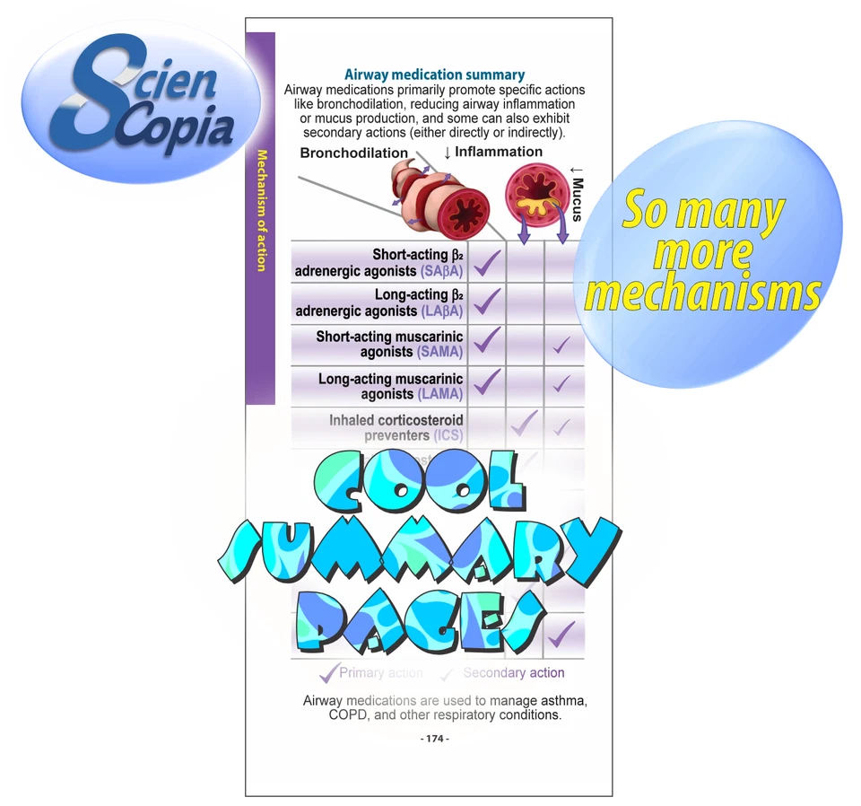 Essential Aussie Drugs - 3rd Edition (A little book of common Aussie drug facts) - image 3 of 4