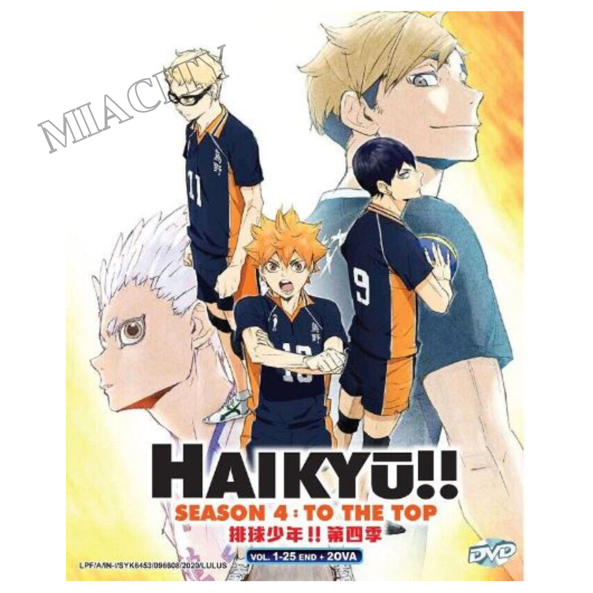 DVD Anime Haikyu Haikyuu!! TV Series 1-50 End Season 1+2 +1 Movie