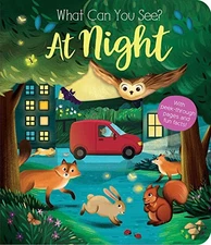 WHAT CAN YOU SEE AT NIGHT By Kate Ware & Maria Perera **Mint Condition**